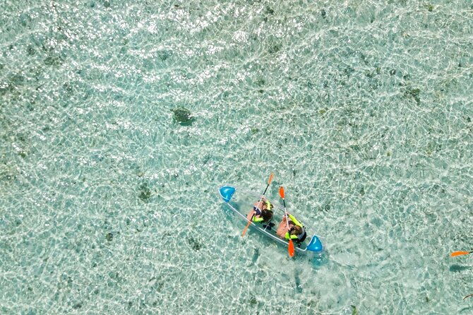 3hr-clear-kayak-mangrove-and-iguana-island-tour-in-leeward