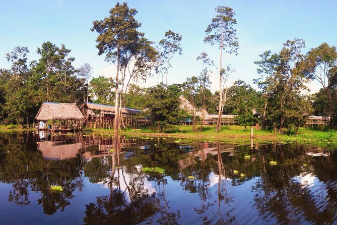 4-day-amazon-jungle-tour-in-iquitos-at-curassow-amazon-lodge