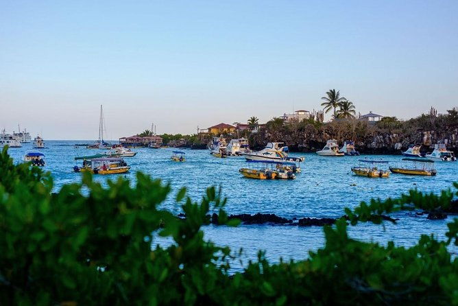 4-day-galapagos-on-a-budget-experience