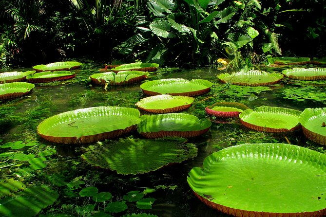 4-day-private-wild-amazon-adventure-tour