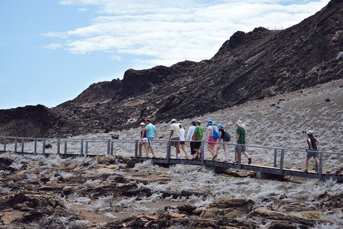 4-day-wildlife-tour-in-santa-cruz-island