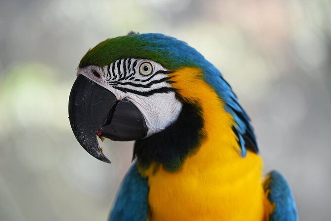 4-days-iquitos-peru-tour
