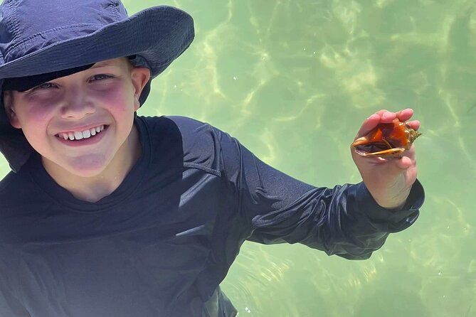 4-hour-beach-tour-in-tierra-verde