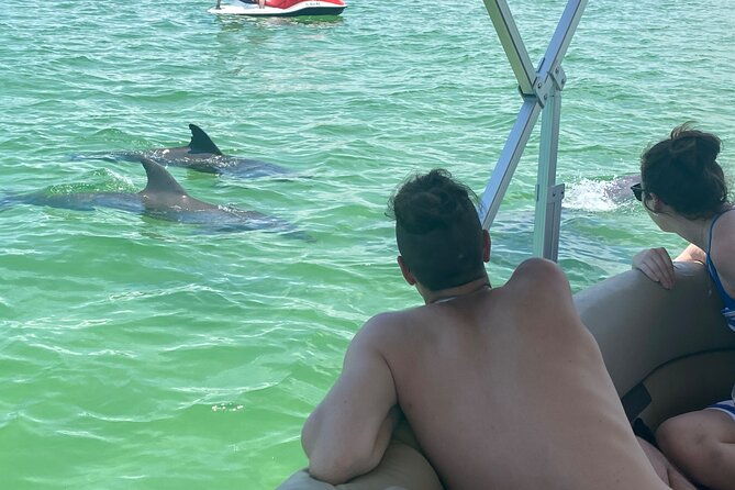 4-hour-dolphin-and-sandbar-cruise-2