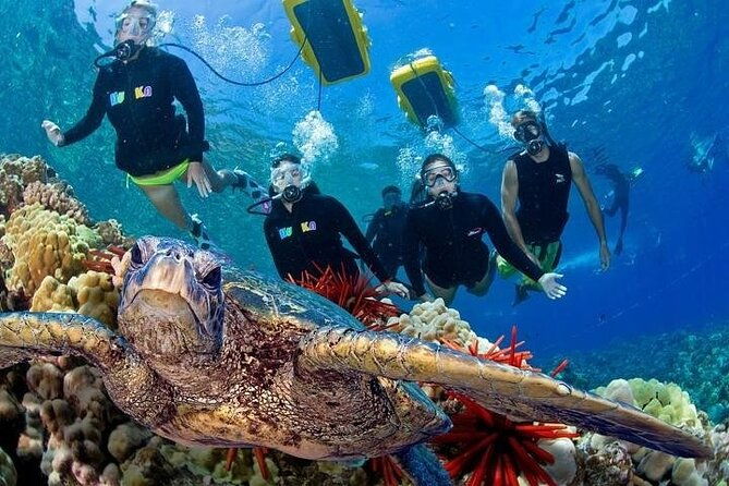 4-hour-koa-kai-molokini-adventure-snorkel