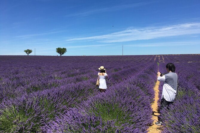 4-hour-lavender-fields-tour-in-valensole-from-aix-en-provence