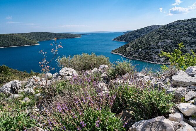 4-hour-private-boat-tour-discover-the-beauties-of-istria