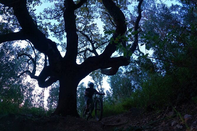 4-hour-private-mtb-enduro-trail-tour-in-sintra-mountain-2