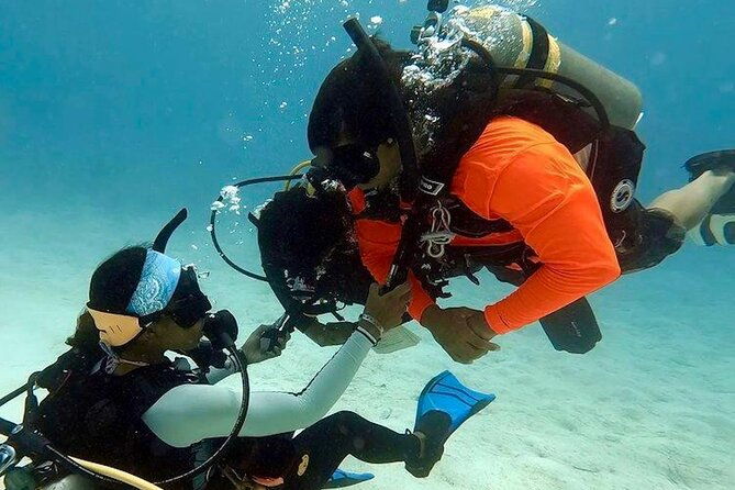 4-hour-scuba-diving-course-in-tayrona-park