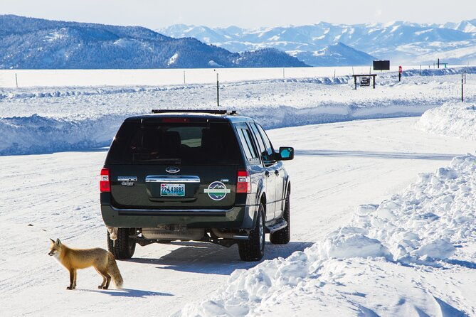 4-hour-snowshoe-in-grand-teton-national-park