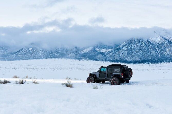 4-hour-vegas-winter-adventure-mt-charleston-snow-day