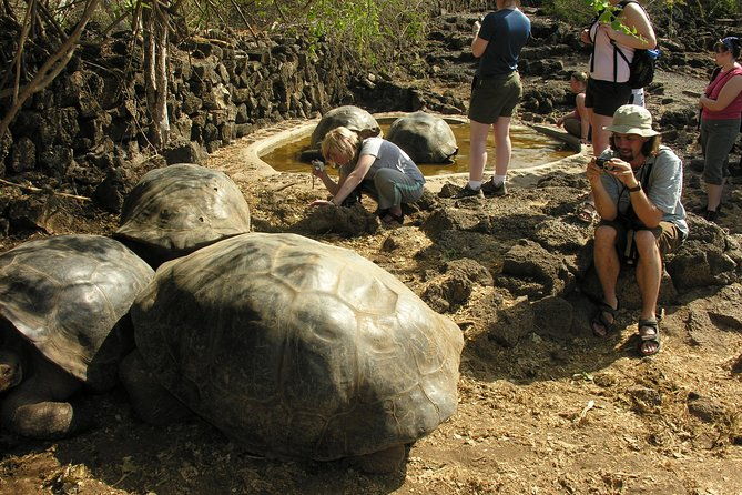 4-or-5-day-galapagos-islands-explorer-package-from-santa-cruz-island