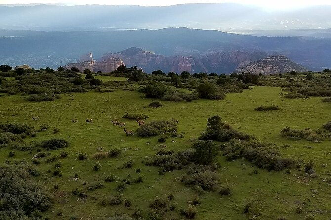45-mile-epic-heli-tour-through-canyons-viewing-ancient-ruinsmore-2
