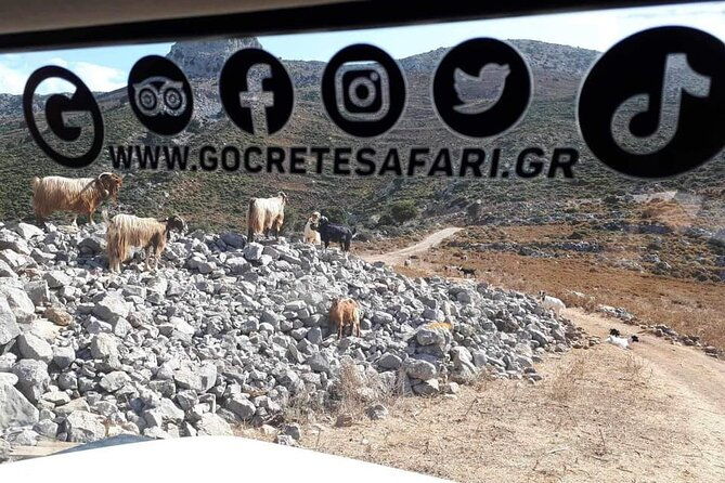 4%cf%874-landrover-the-paradise-of-the-eastern-crete