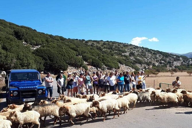 4x4-safari-tour-southern-crete-tripitis-gorge-3