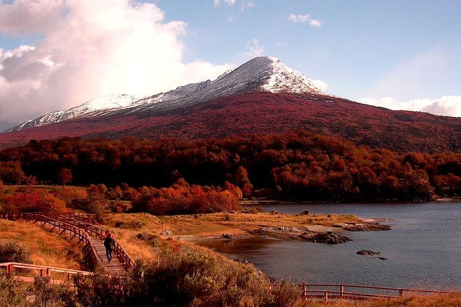 5-5-hour-nat-park-w-hiking-shore-excursion-ushuaia-shared-tour-for-cruises