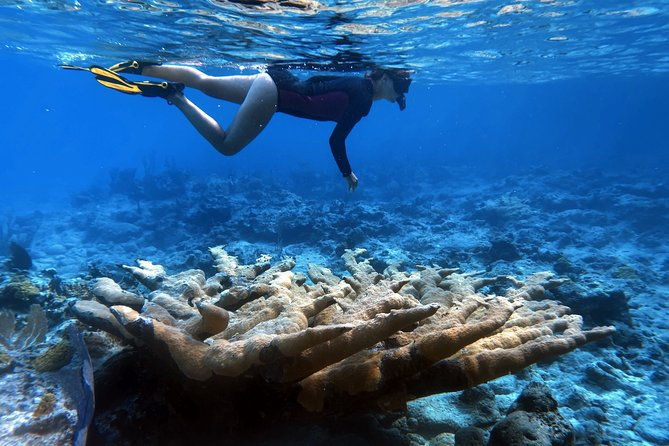 5-day-4-nights-catamaran-adventure-in-the-exumas