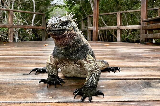 5-day-galapagos-island-hopping-tour-los-tuneles-and-isabela