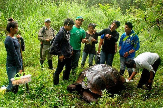 5-day-guided-galapagos-los-tuneles-tour