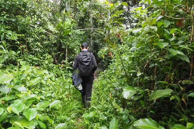 5-day-private-extreme-amazon-experience