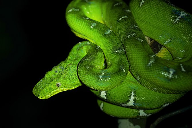 5-day-wildlife-of-the-pacaya-national-park-from-iquitos