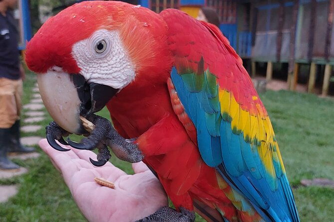 5-days-tour-culture-and-nature-of-the-amazon-non-mass-sustainable-tour