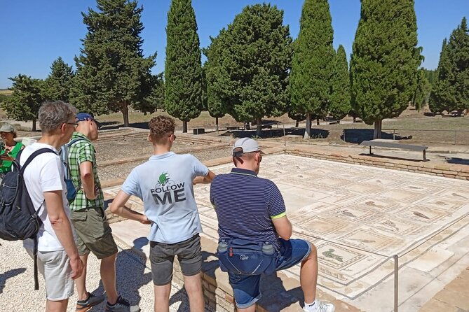 5-hour-electric-bike-tour-to-the-ruins-of-italica