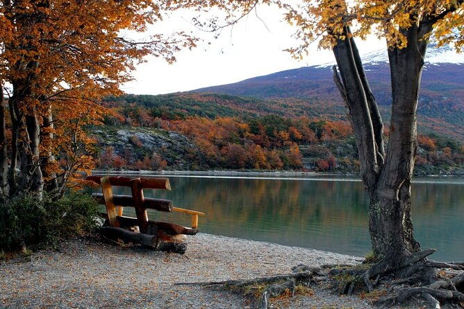 5-hour-national-park-city-tour-ushuaia-private-tour
