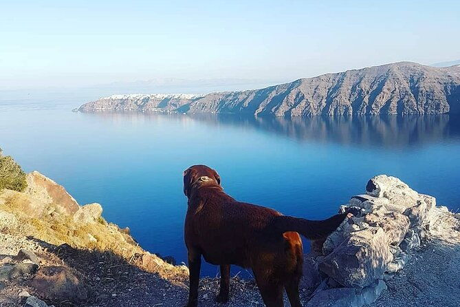 5-hour-private-custom-santorini-tour