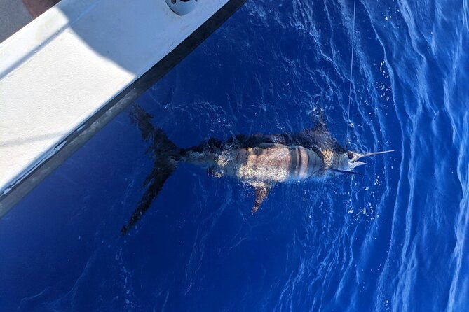 5-hours-private-fishing-charter-in-kailua-kona-2
