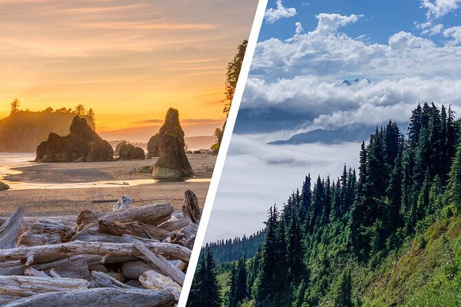 6-day-backpacking-summer-camp-adventure-in-olympic-national-park