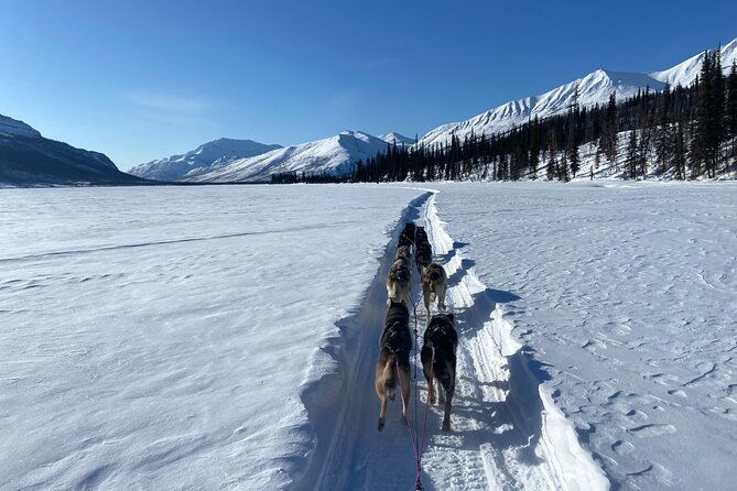 6-days-brooks-range-expedition-private-tour