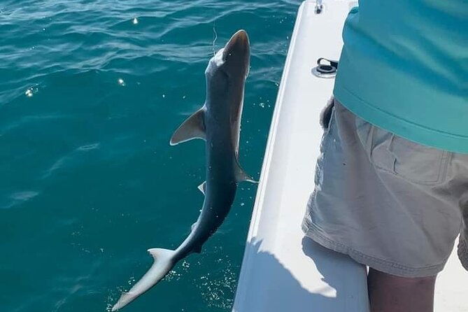 6-hour-private-fishing-tour-in-sarasota-with-master-captain-bill