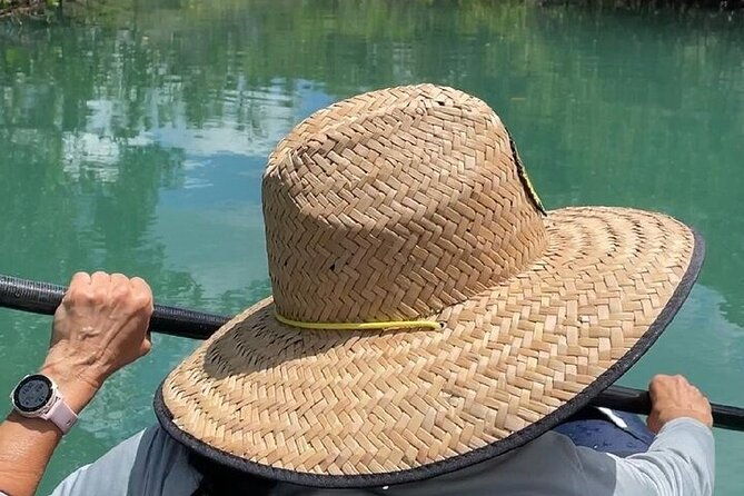6-hr-tropical-mangroves-coastal-river-and-ocean-wildlife-watch-2