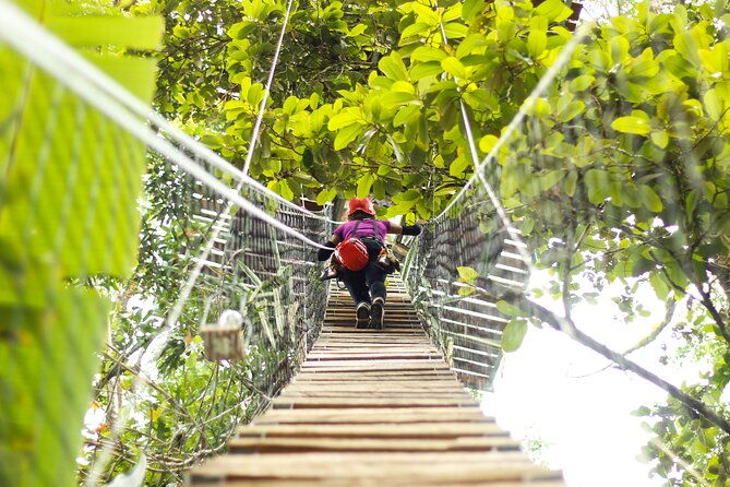 60m-tree-climbing-experience-with-descent-in-tarzan-or-rapel