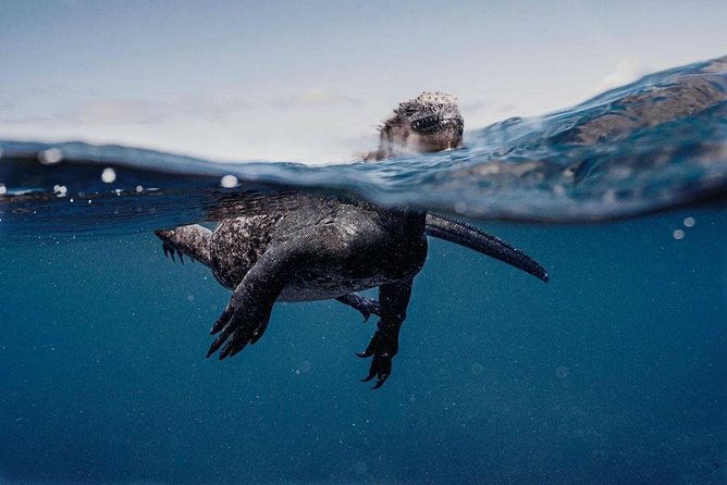 7-day-galapagos-on-a-budget-experience