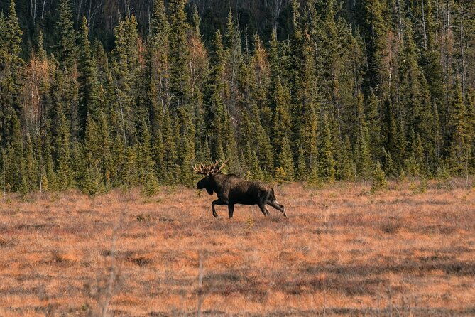 8-12-hour-private-arctic-circle-experience-in-alaska-with-lunch
