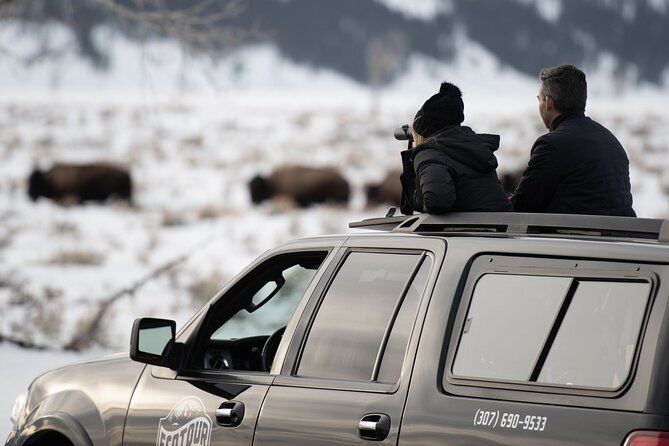 8-hour-combination-snowshoe-wildlife-viewing-in-grand-teton-national-park