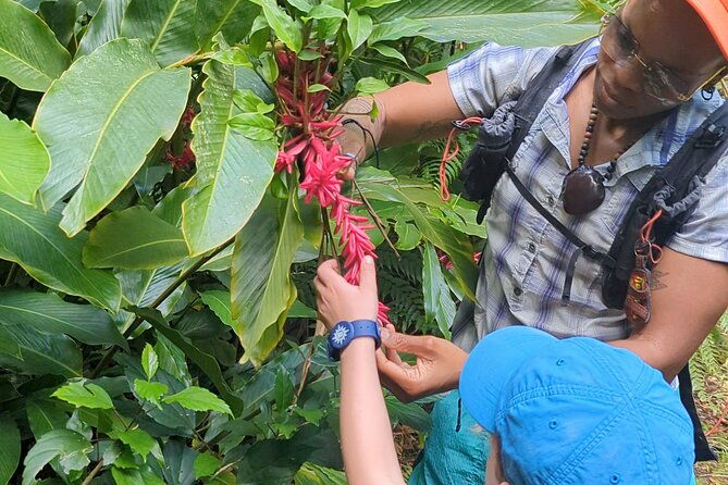 a-day-of-relaxation-in-the-jungle-and-waterfalls-of-dominica
