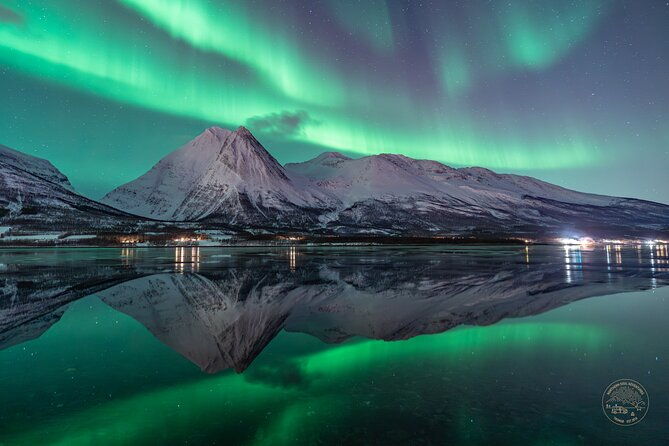 a-journey-in-search-of-the-northern-lights-private