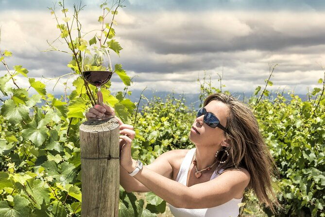 a-journey-to-the-heart-of-wine-winery-tour-free-wine