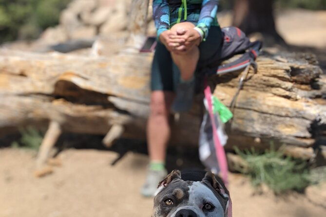 a-locals-favorite-hike-in-big-bear-with-lake-swimming-experience-2