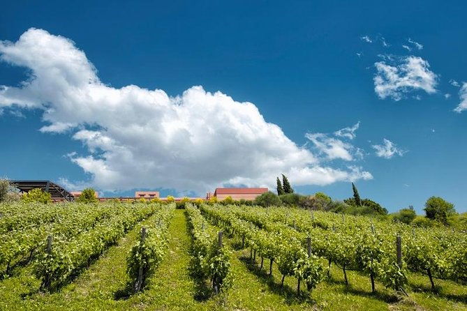 a-world-of-wine-tasting-in-nemea