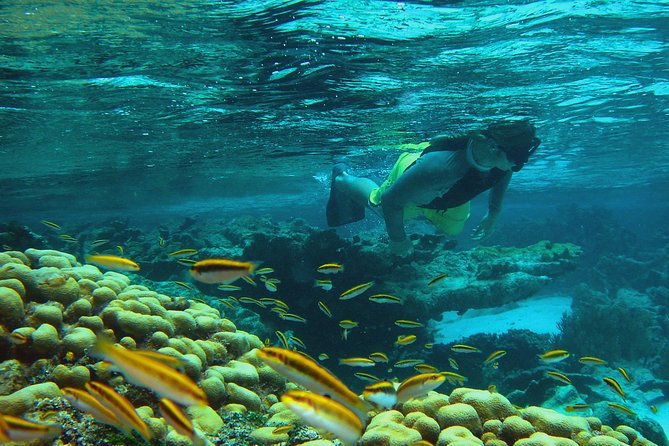 adventure-antigua-elis-original-eco-tour