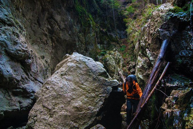 adventure-day-trip-from-iasi-hiking-in-the-carpathian-mountains