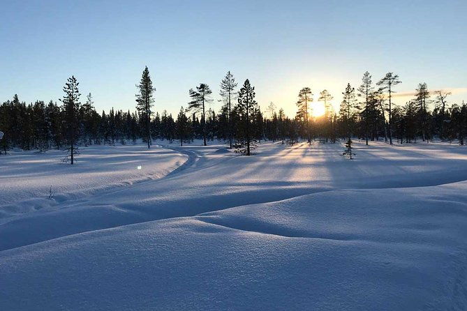 afternoon-snowmobile-tour
