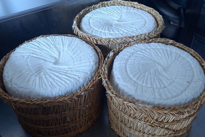 agriaperitivo-in-a-3-hour-farm-activities-in-ugento