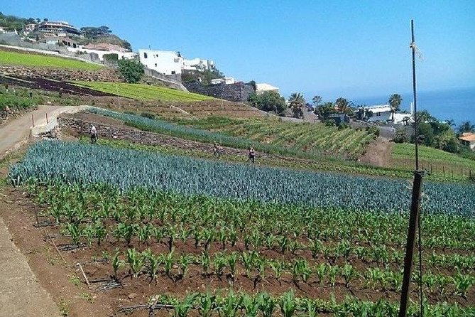 agriculture-green-tour