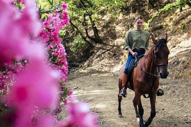 alanya-horse-riding-experience-with-free-hotel-transfer-3
