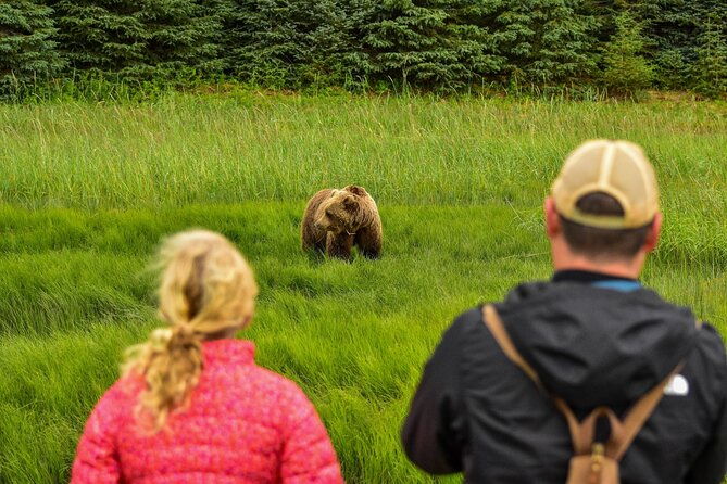 alaska-bear-viewing-adventure-from-seward
